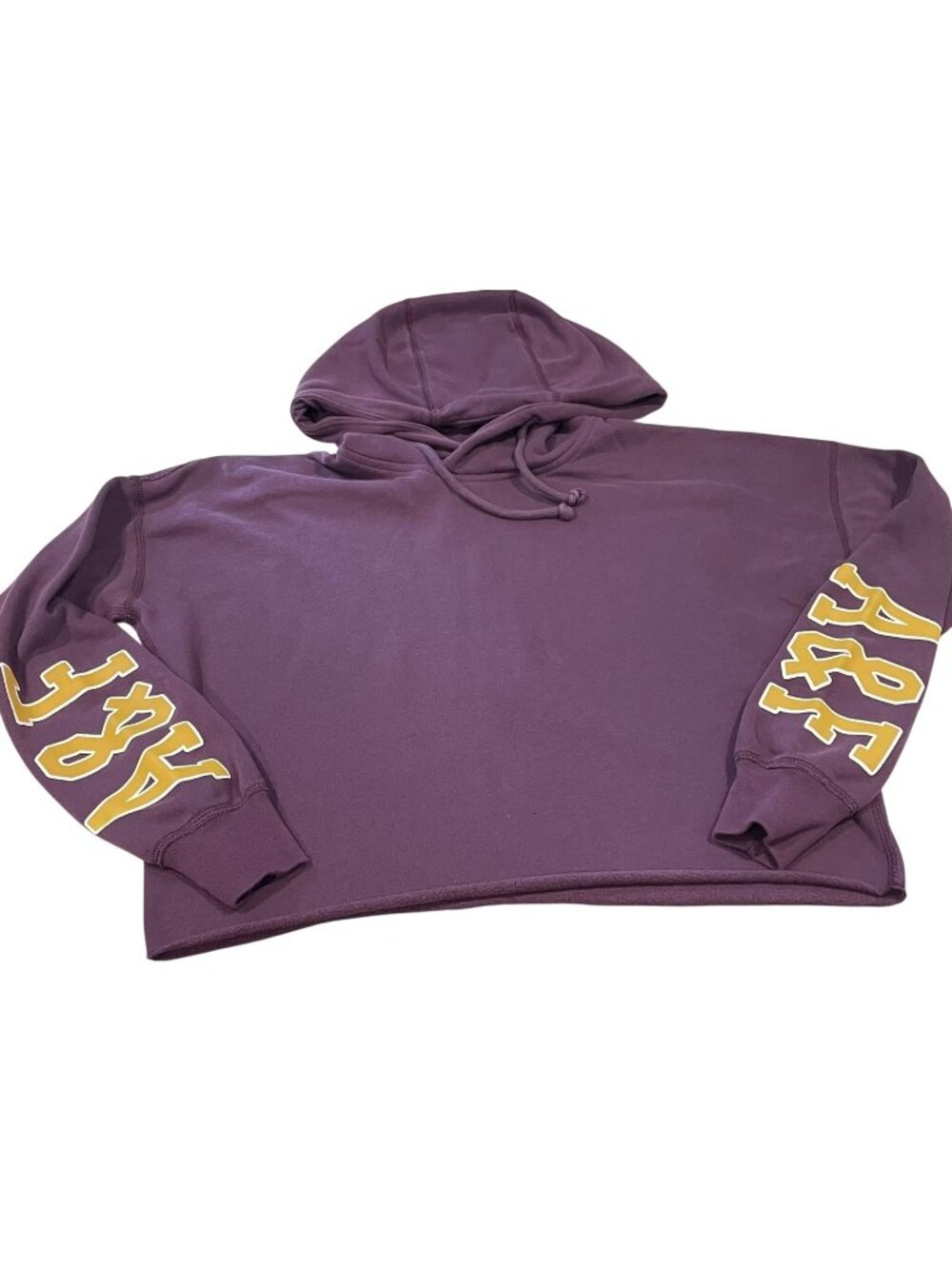 Abercrombie & Fitch Y2K Cropped Hooded Sweatshirt M Purple Collegiate Streetwear